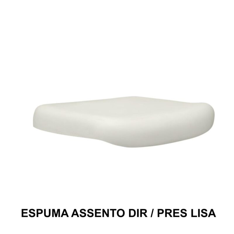 Espuma ASSENTO Diretor LISA – 99202 CONEXÃO MÓVEIS 2